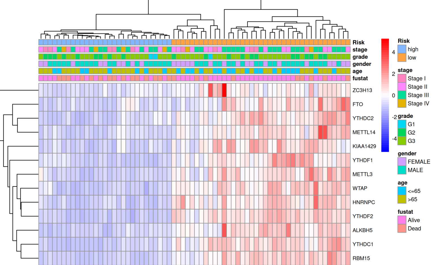 Clinical Heatmap