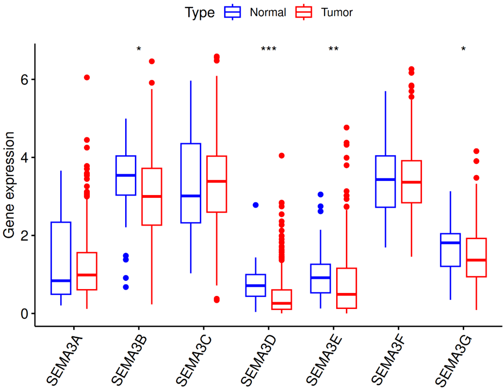 Multi-Group Box Plot